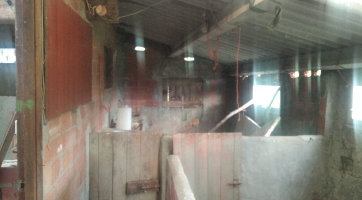 WhatsApp Image 2025-05-13 at 21.00.28